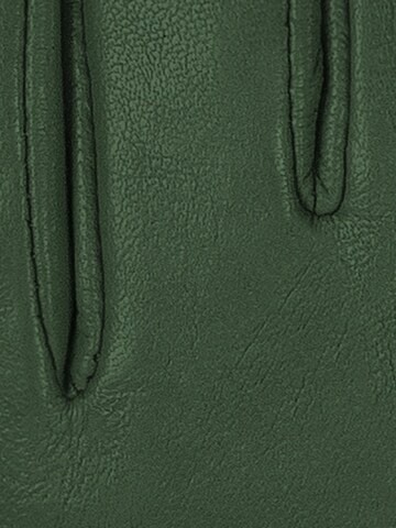 KESSLER Full Finger Gloves in Green