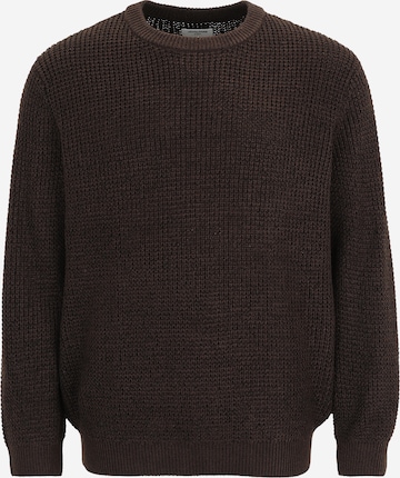 Jack & Jones Plus Свитер 'JJGLOBAL' в Коричневый: спереди