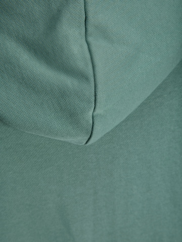 Jack & Jones Plus Sweatshirt 'JJCollege' in Green