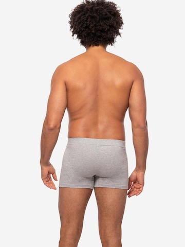 Almonu Boxer shorts 'Cotton' in Grey