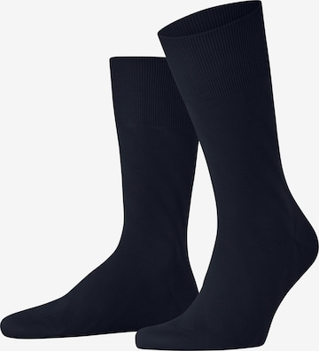 FALKE Socken 'ClimaWool Special Edition' in Blau: Vorderseite