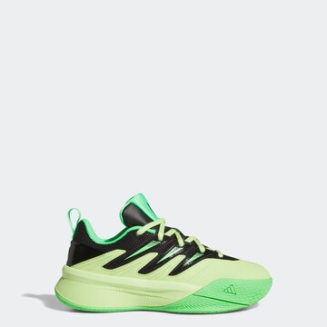 ADIDAS PERFORMANCE Sportschuh in Grün