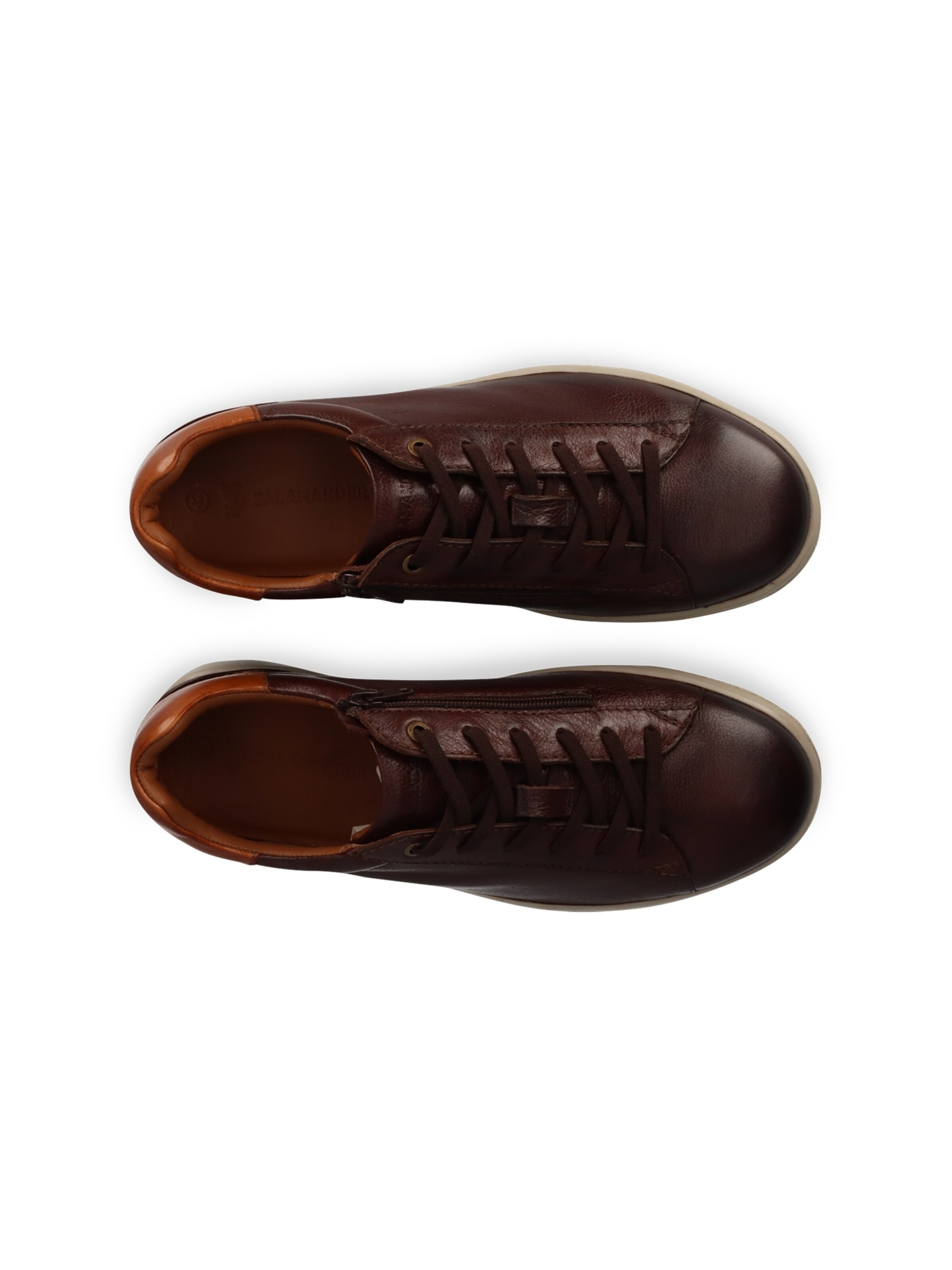 SALAMANDER Sneaker low i brun