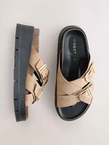 Next Muiltjes in Bruin