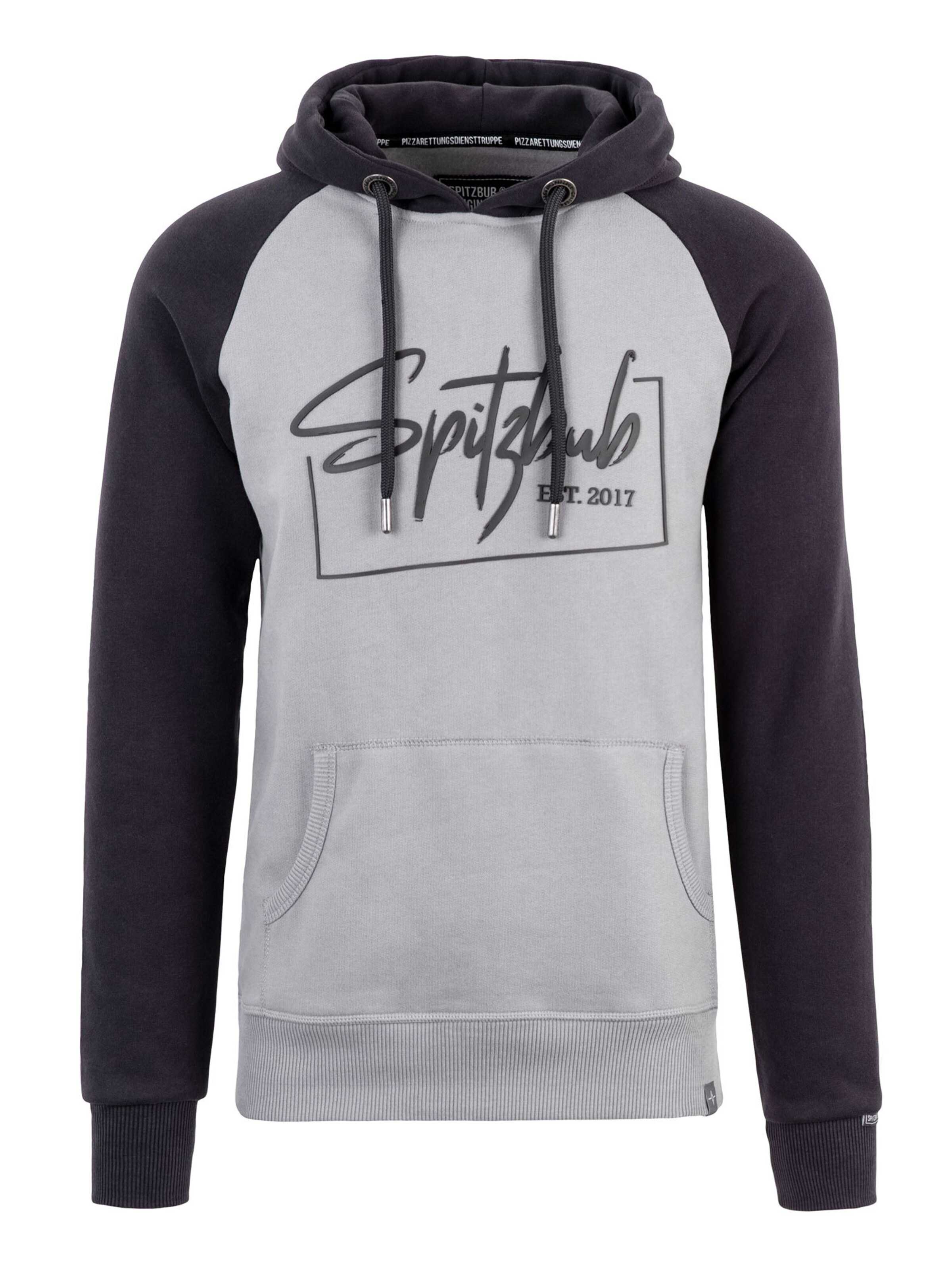 Sweat-shirt 'Raised-Street' SPITZBUB en gris : devant