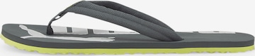 PUMA Zehentrenner 'Epic Flip V2' in Grau: Vorderseite