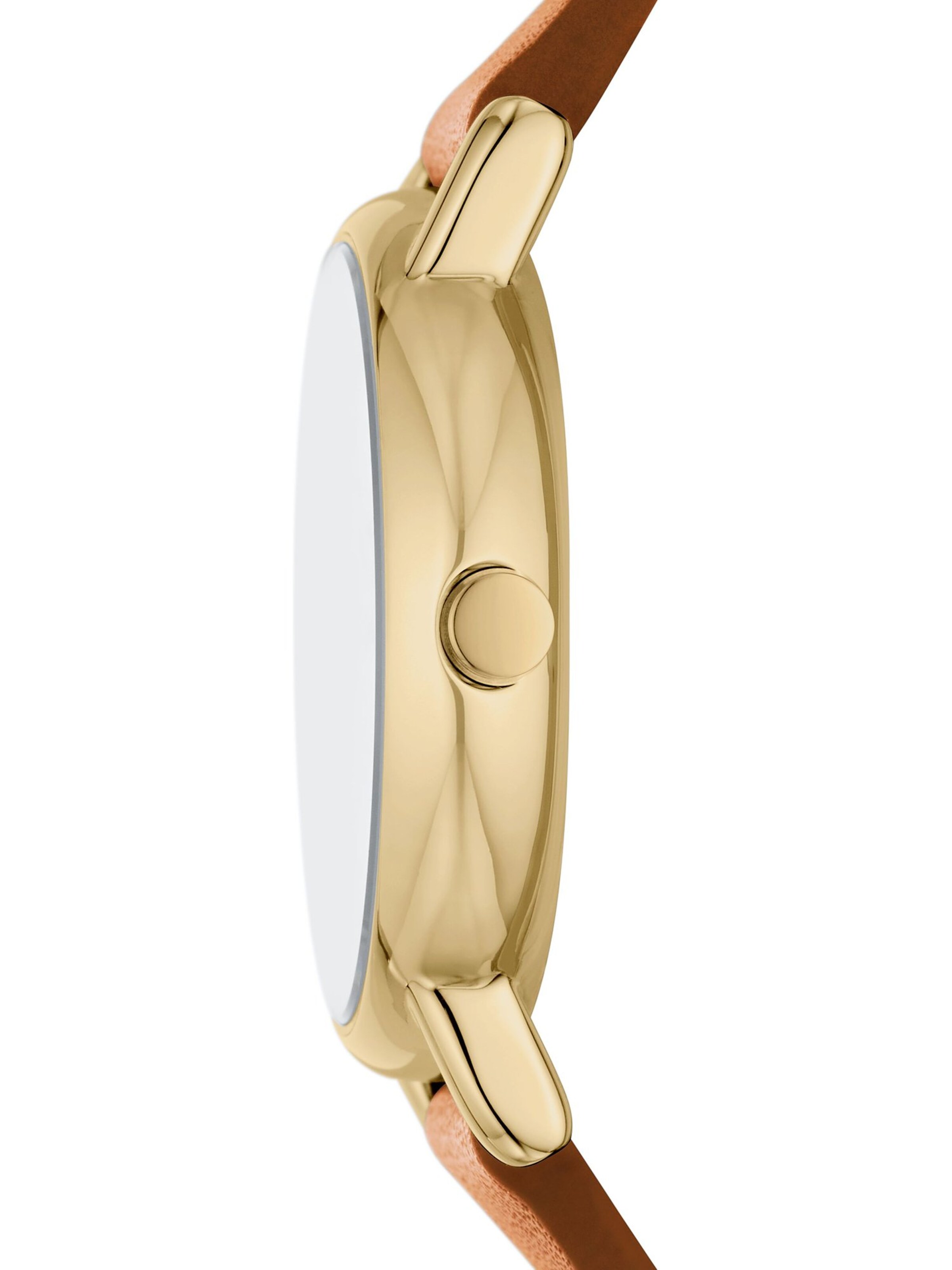 SKAGEN Analog Watch in Brown