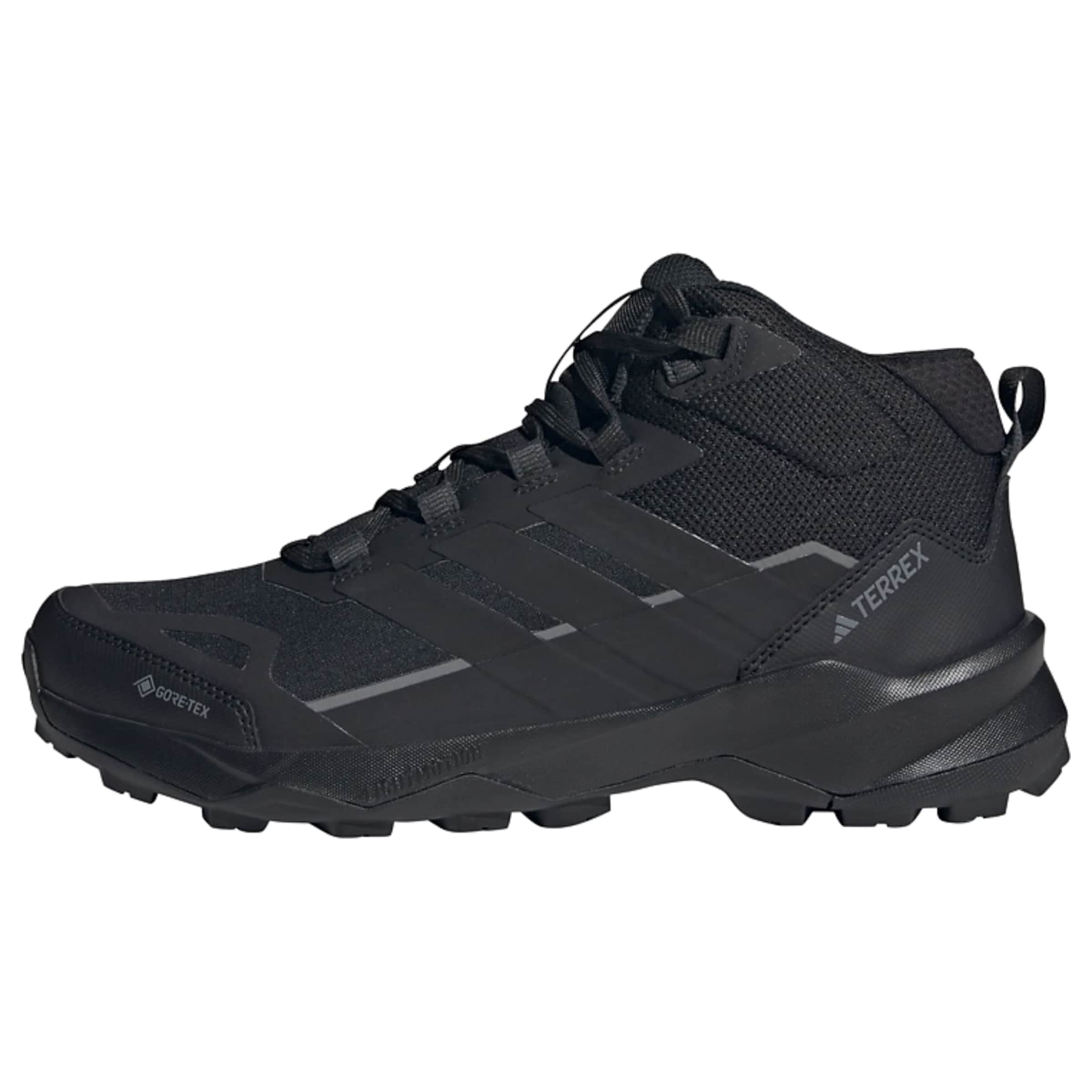 ADIDAS TERREX Boots 'Skychaser AX5' in Black: front
