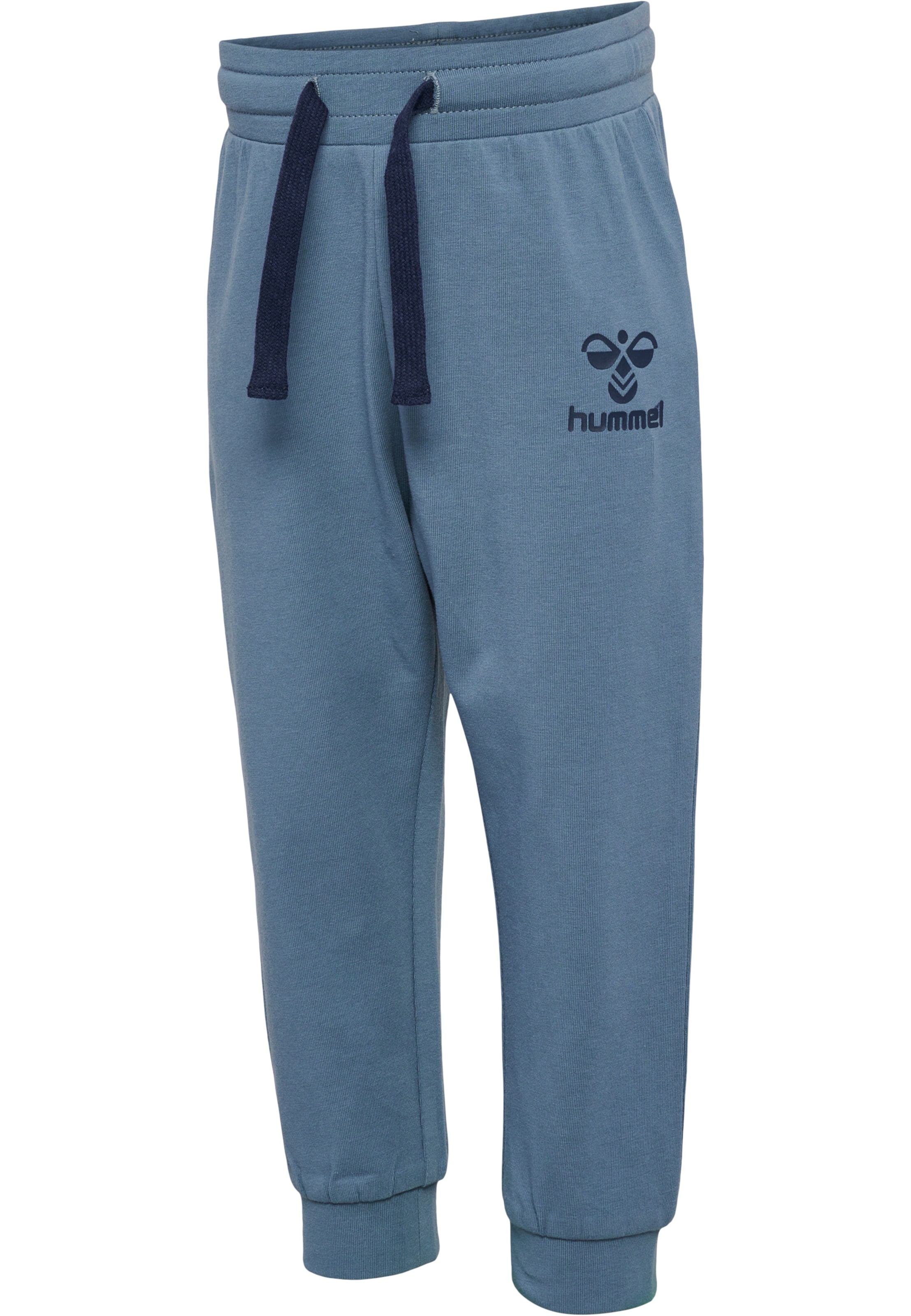 Regular Pantalon Hummel en bleu