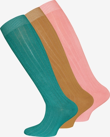 Regular Chaussettes EWERS en mélange de couleurs : devant