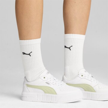 PUMA Sneaker 'Cali Court' in Weiß