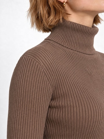 RYVAN Svetr 'Pullover' – hnědá
