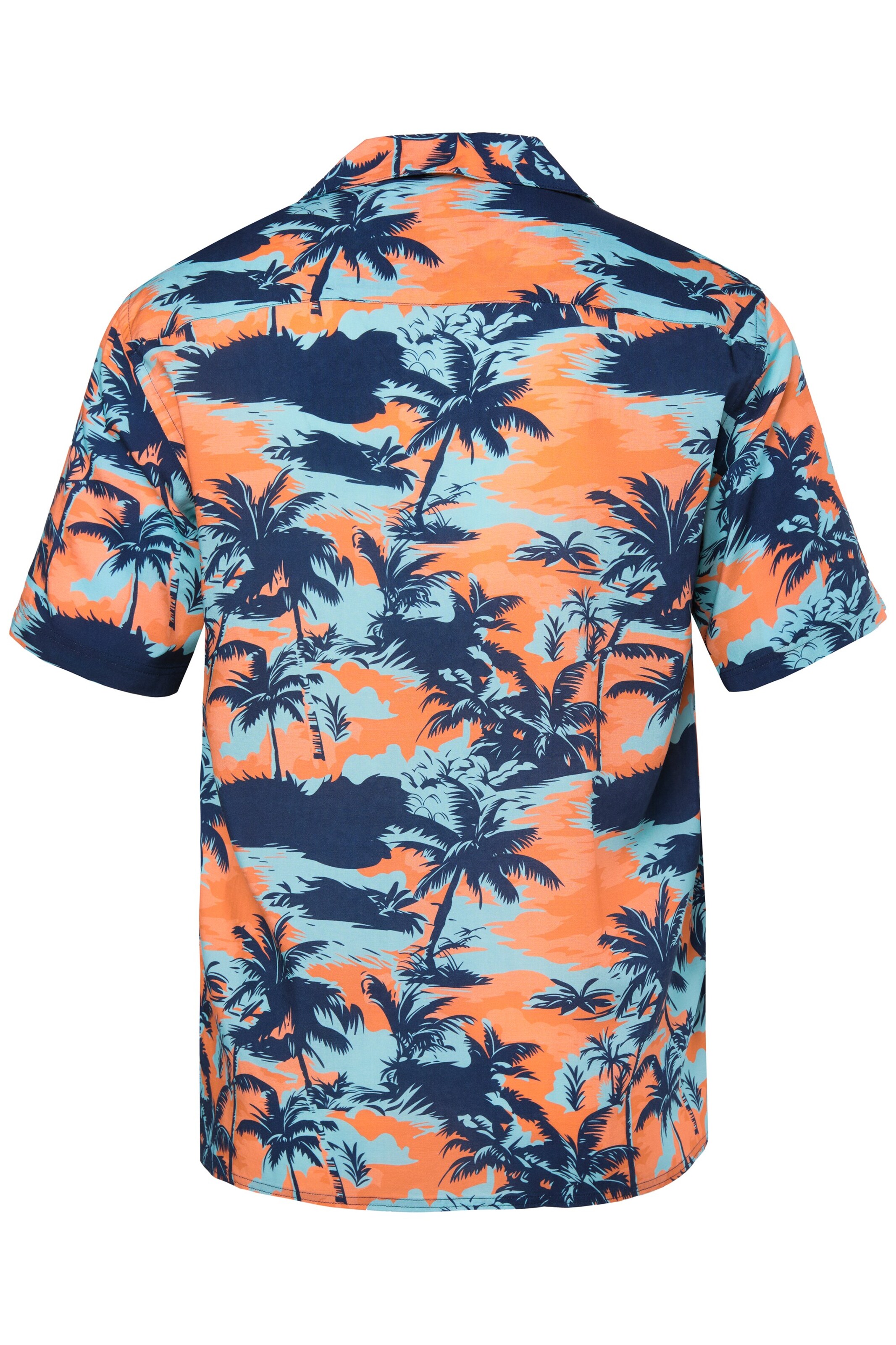 Men Plus Regular fit Overhemd in Oranje