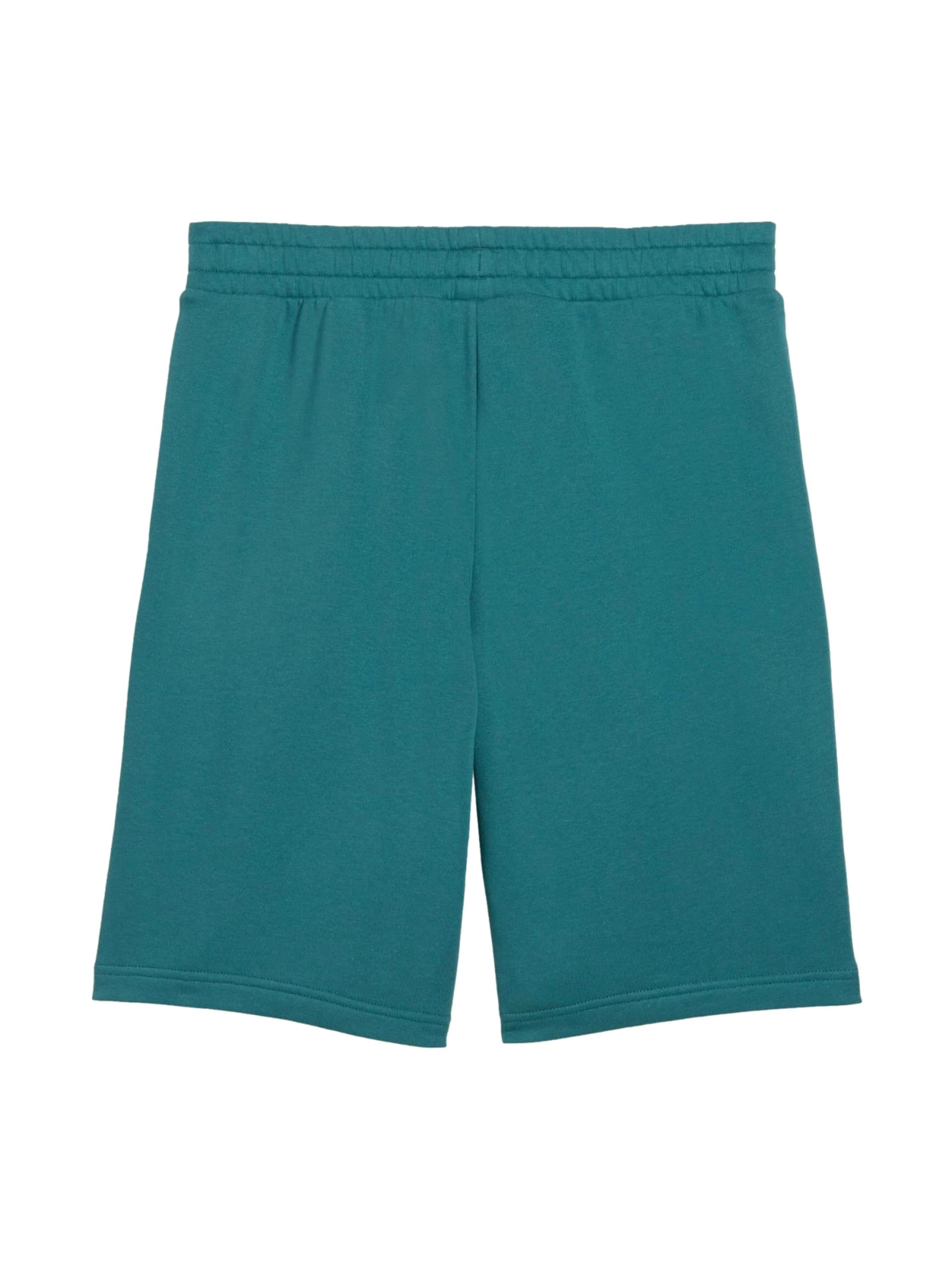 Regular Pantalon de sport 'ESS 2 Color No. 1' PUMA en vert