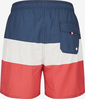 HECHTER PARIS Swim Trunks in Mixed colors