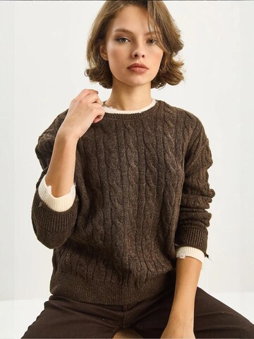 Bianco Lucci Pullover in Braun