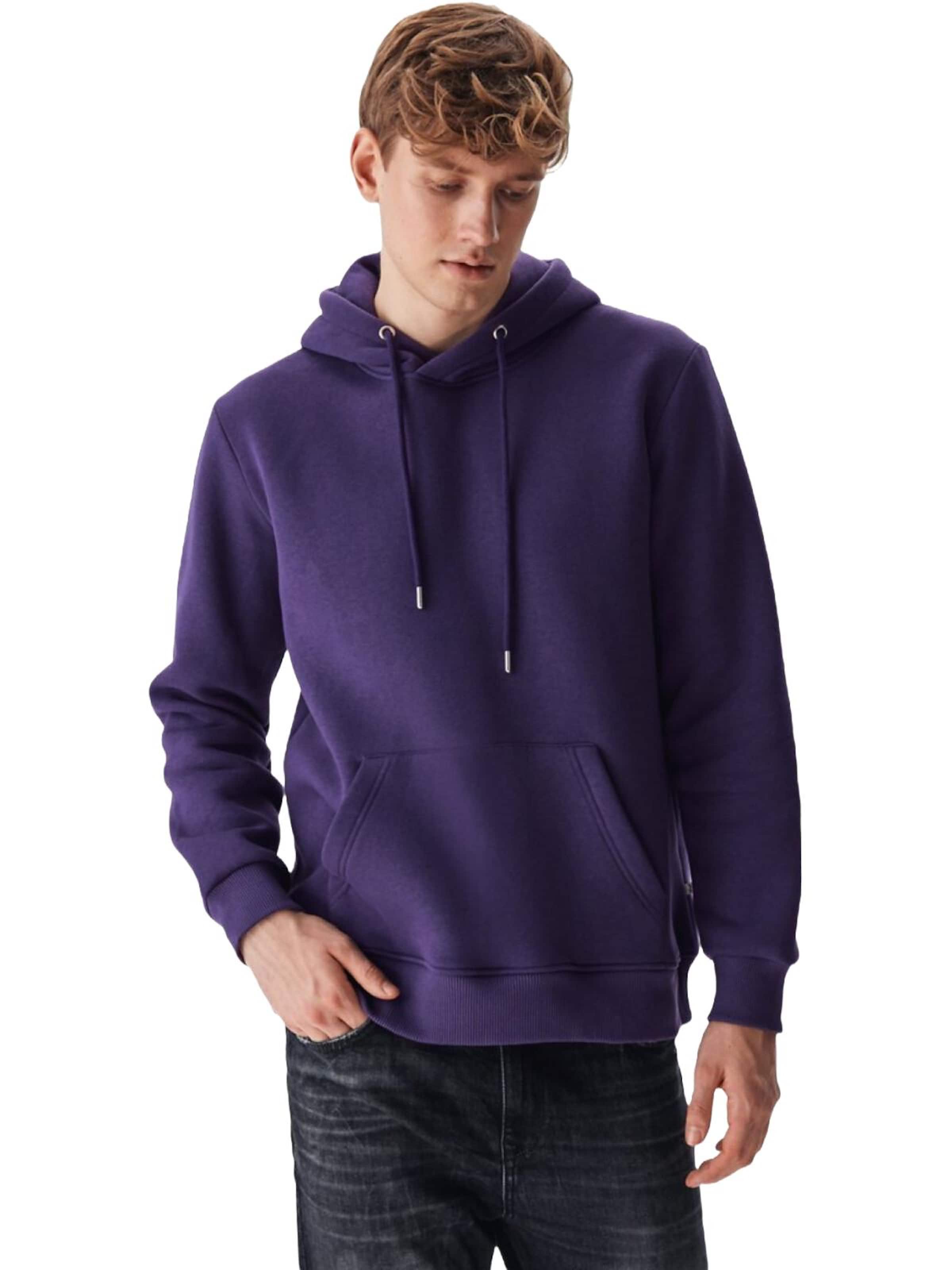 LTB Jeans Sweatshirt 'Herren'‌‌‌‌‌ in Lila: Vorderseite