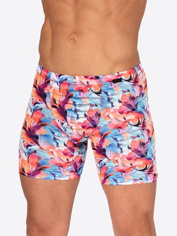 Boxers ' RED2559 Bikerpants ' Olaf Benz en mélange de couleurs : devant