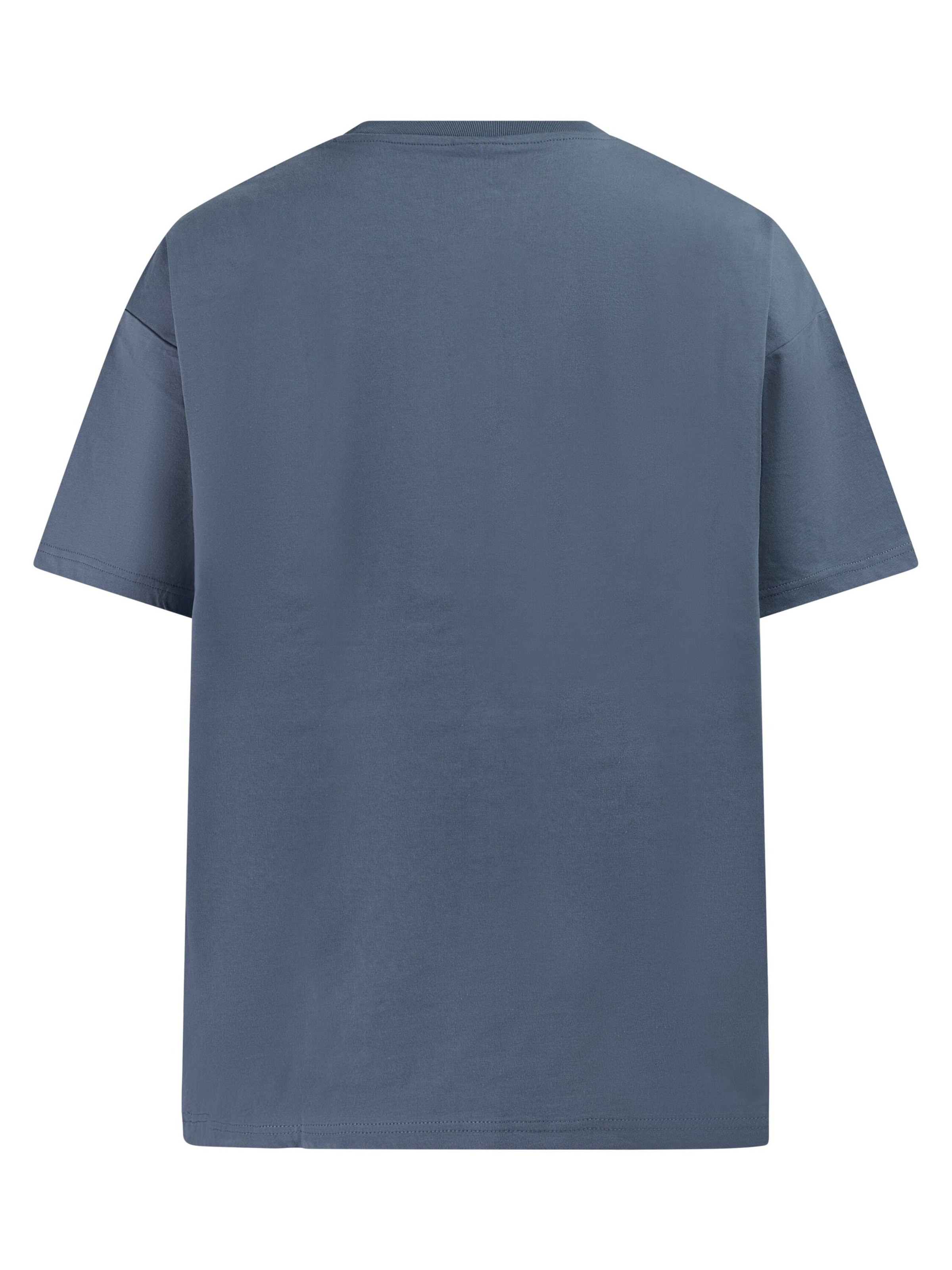 PROTEST Shirt 'PRTMatteos'‌‌‌ in Blau