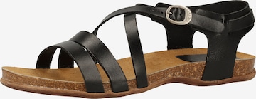 Kickers Strap Sandals in Black: front