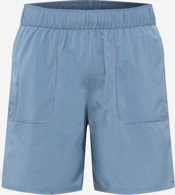 PUMA Sortshorts in Grau: predná strana