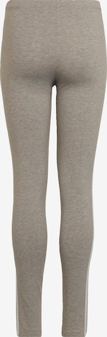 ADIDAS ORIGINALS Skinny Leggings 'Adicolor' in Grey