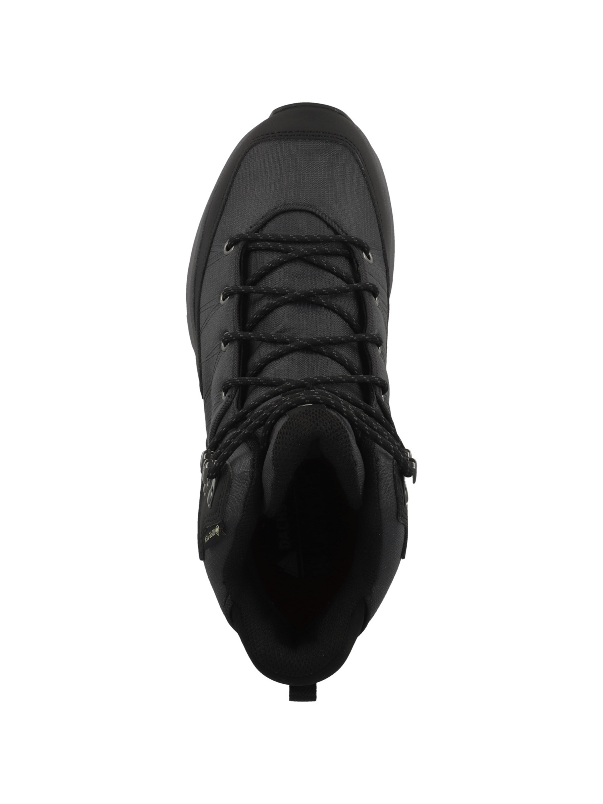 Scarpa bassa di Dachstein in nero