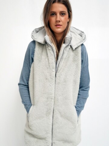 Funk since 1776 Vest in Grey