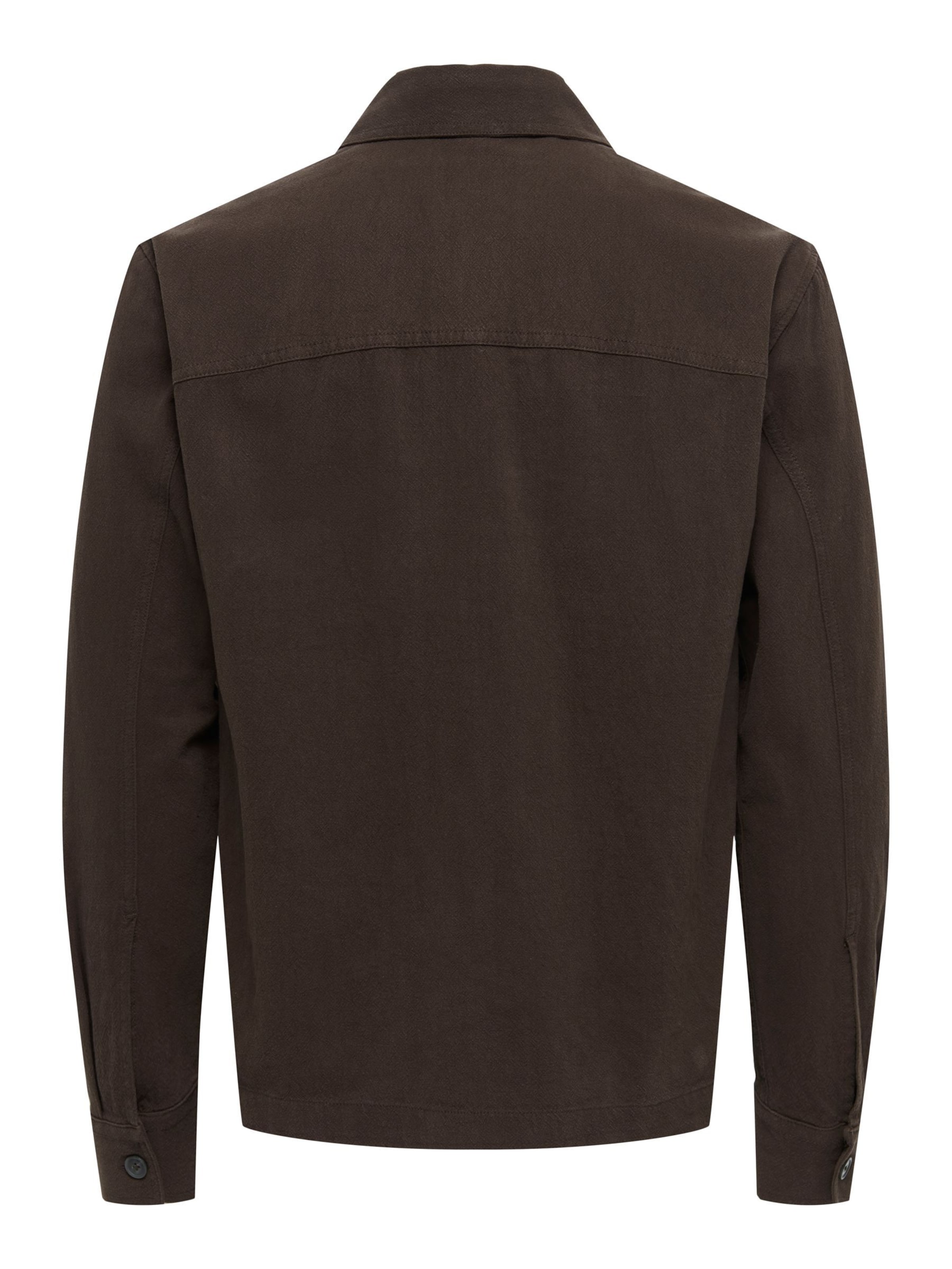 Only & Sons Regular Fit Skjorte 'ONSCOLT' i brun