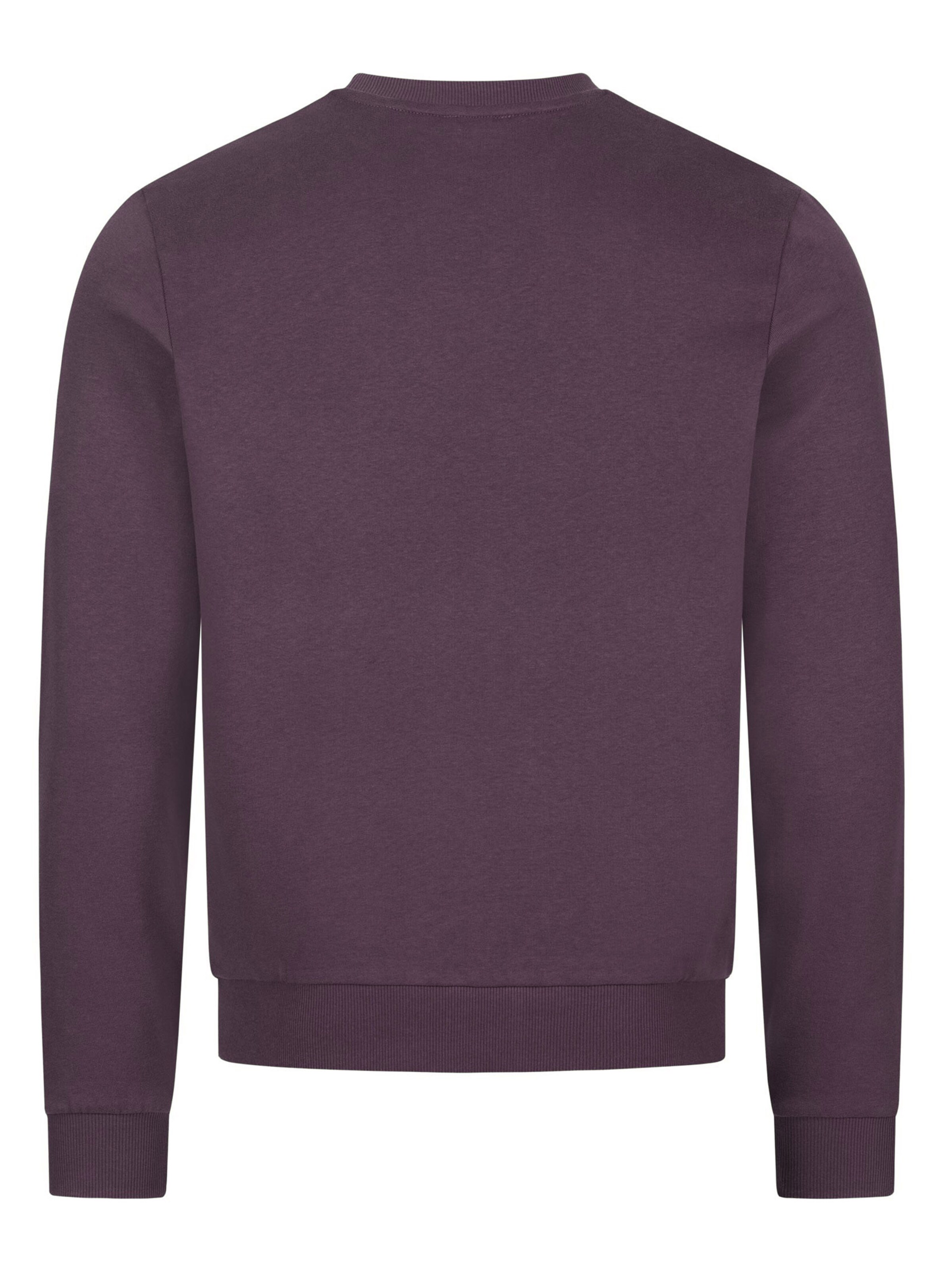 U.S. POLO ASSN. Sweatshirt in Purple