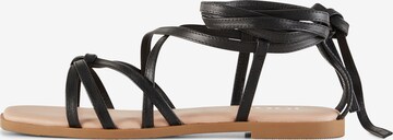 JOOP! Sandalen met riem 'Sofisticato Merle' in Zwart: voorkant