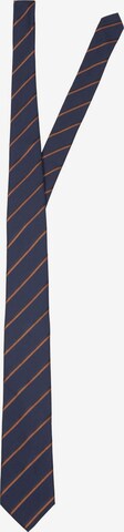 SELECTED HOMME Tie in Blue: front