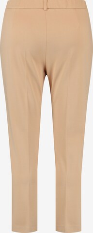 SAMOON Regular Hose in Beige