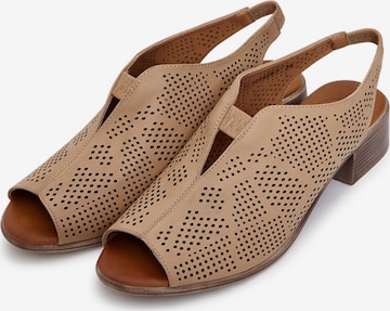CESARE GASPARI Sandals in Brown