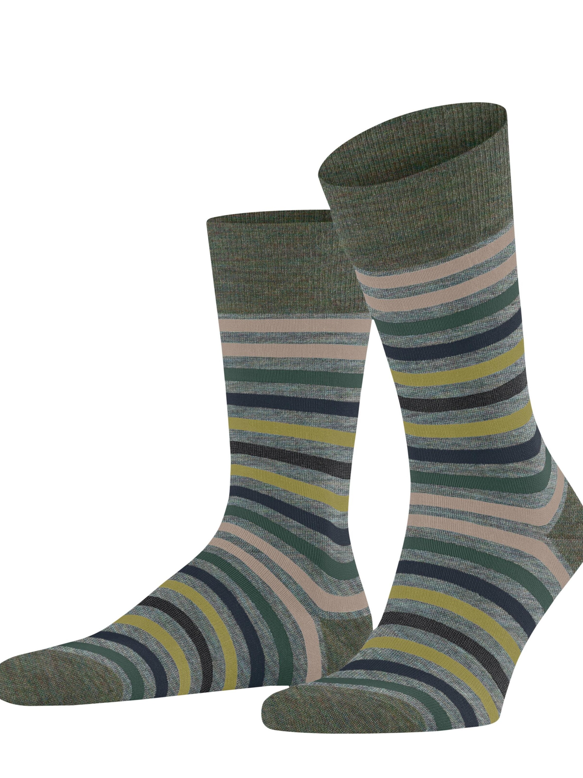 FALKE Socks 'Tinted Stripe' in Blue: front