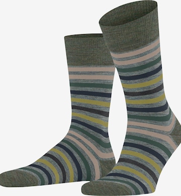 FALKE Socks 'Tinted Stripe' in Blue: front