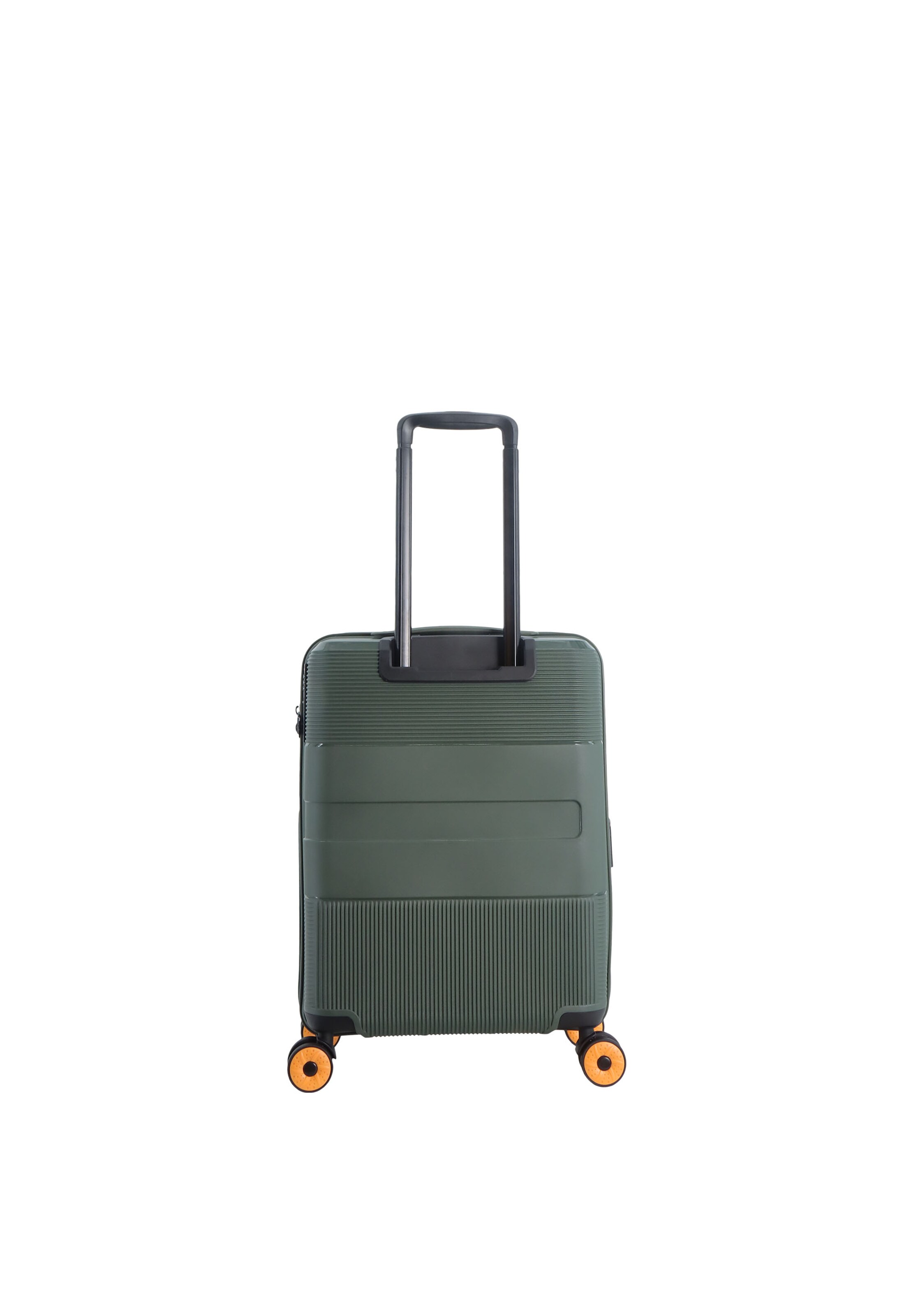 Discovery Suitcase 'Trails' in Green