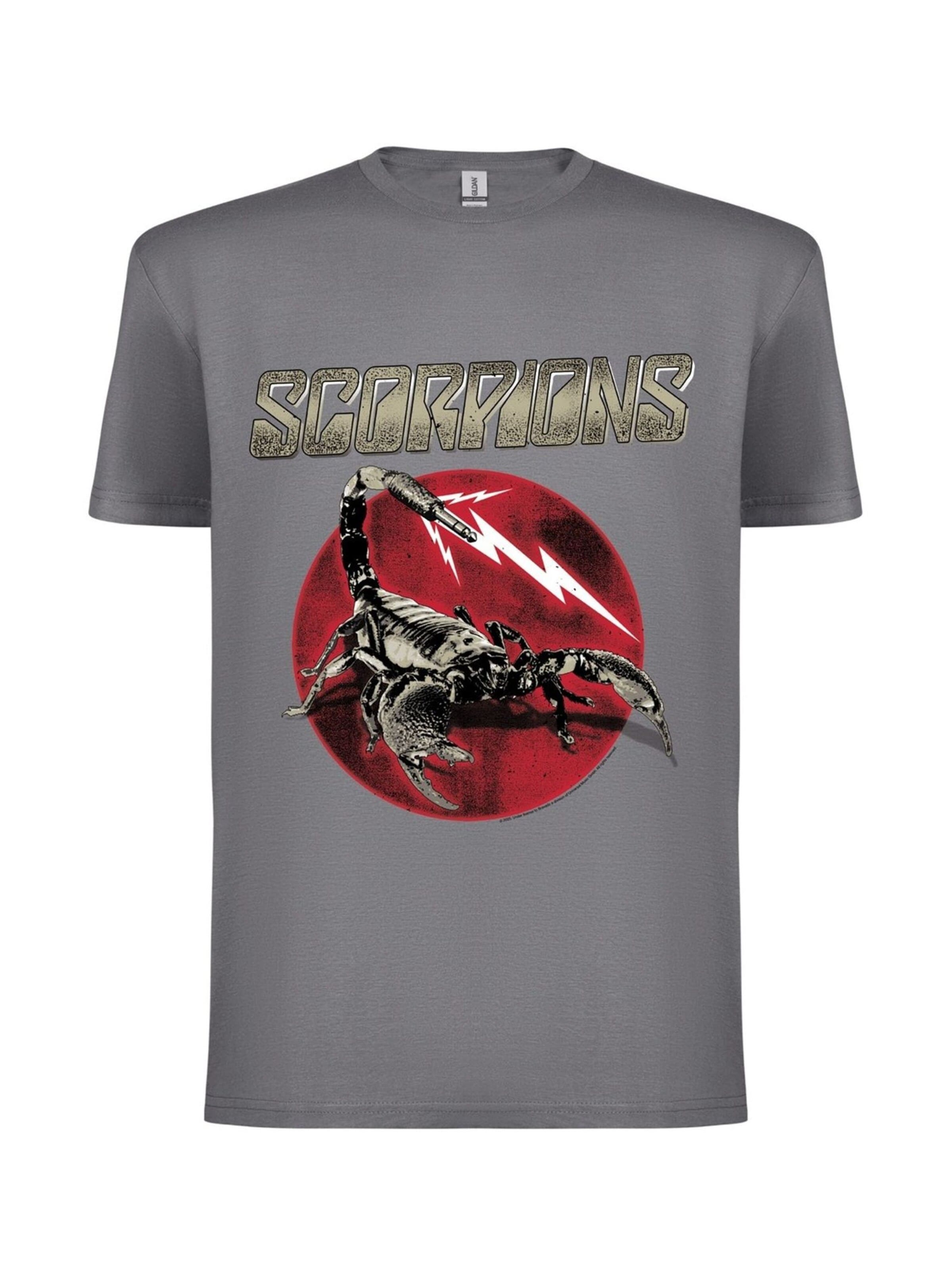 Rockshirts Shirt 'Scorpions Sting T-Shirt' in Grey: front