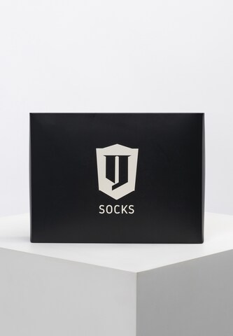 Chaussettes 'Bethwin' INDICODE JEANS en mélange de couleurs
