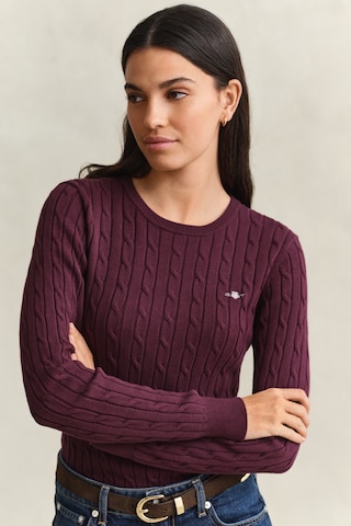 GANT Pullover in Lila