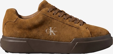 Baskets basses Calvin Klein en marron : devant