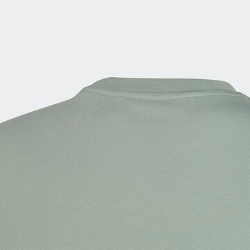 T-Shirt 'Adicolor' ADIDAS ORIGINALS en vert