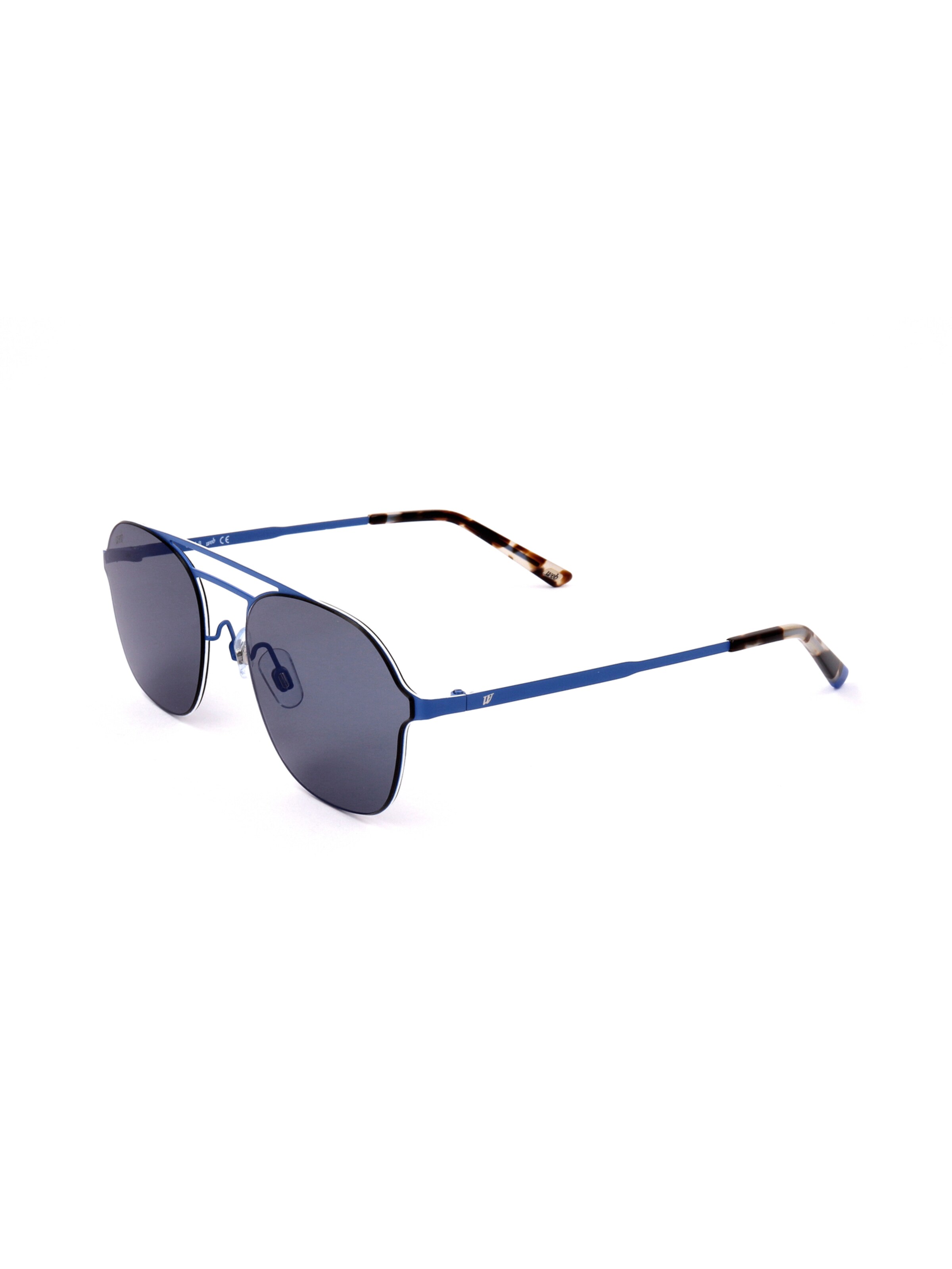 Occhiali da sole 'WE0248' di Web Eyewear in blu: frontale