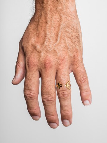 Akitsune Ring 'Anchor' in Gold