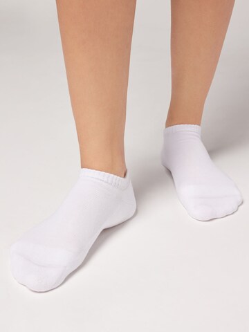 CALZEDONIA Ankle Socks in White: front