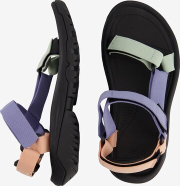 TEVA Pohodni sandali | vijolična barva