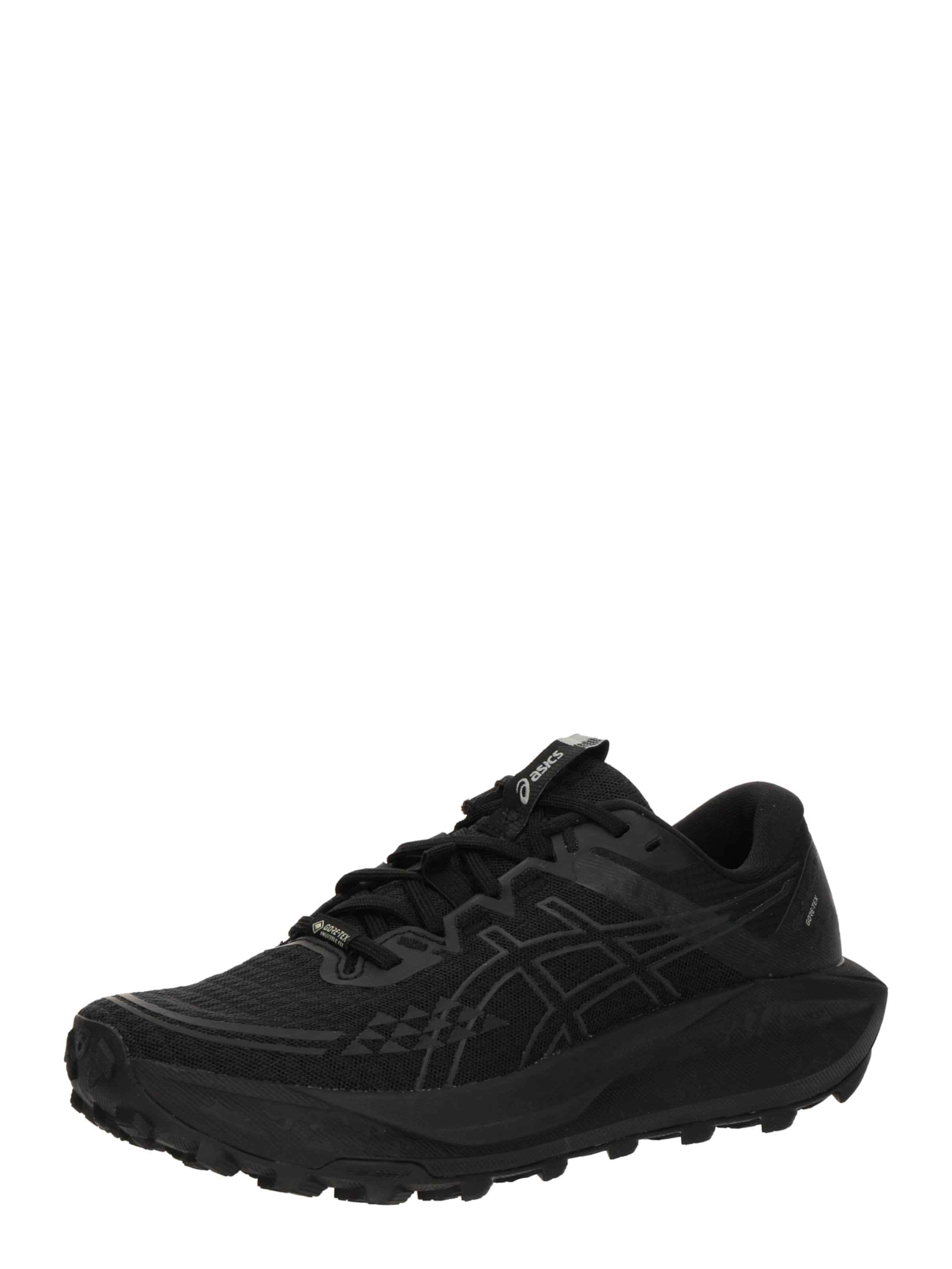 ASICS Chaussure de course 'GEL-Trabuco 13 GTX' en gris foncé / noir, Vue avec produit