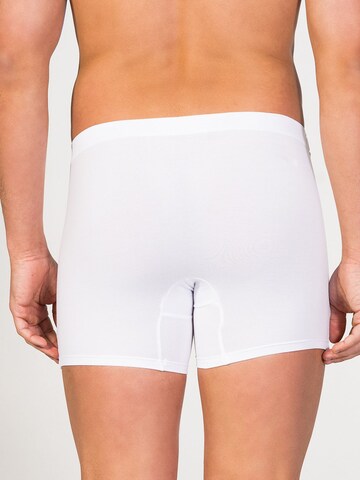 zd ZERO DEFECTS Boxer shorts 'Breno Organic Cotton Boxer' in White