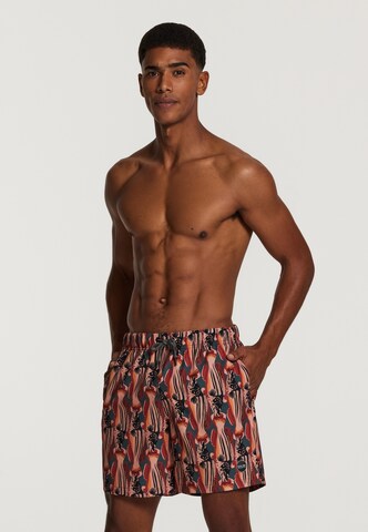 Shiwi Swimming shorts 'catch of the day 4-way stretch' in Green: front