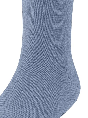 FALKE Socks 'Family' in Blue